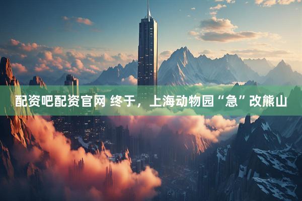 配资吧配资官网 终于，上海动物园“急”改熊山
