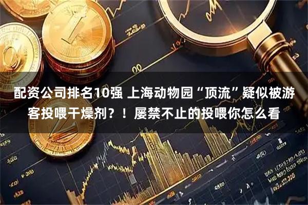 配资公司排名10强 上海动物园“顶流”疑似被游客投喂干燥剂？！屡禁不止的投喂你怎么看